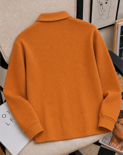Image of AUSK Men's Waffle Knit Textured Full Sleeve Polo T-Shirt | Cotton Blend Regular Fit Zip Polo Neck Solid Smart Casual T Shirt for Men | Casual Wear, Travel & Weekend Wear Tshirt for Men