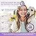 Dog Allergy Chews 400PCs ,Dog Allergy and Itching Skin Relief Anti Itch Aller Immune Bites for Dogs Itching licking Paws Treatment Relief Itchy Allergy Probiotics Vitamins for Skin and Coat Allergies