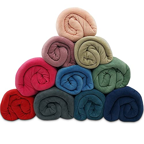 Manta Cobertor Solteiro 150x220cm Microfibra Soft Macia Fleece Camesa - Emcompre