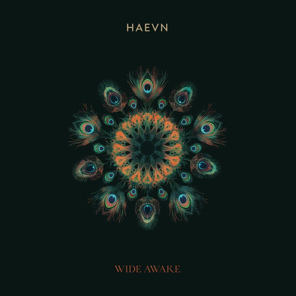 Wide Awake [VINYL]