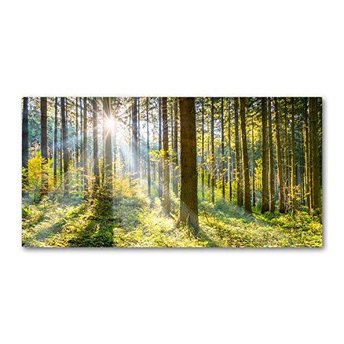 Dosseret en verre 120x60cm de sécurité vert forêt au soleil pour une finition premium