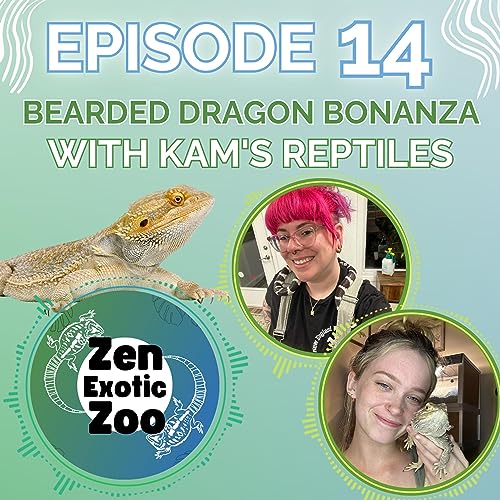 Kasey Talks Critters Ep 14 | Bearded Dragon Bonanza With Kamryn Hart of Kam's Reptiles and Kasey of Zen Habitats