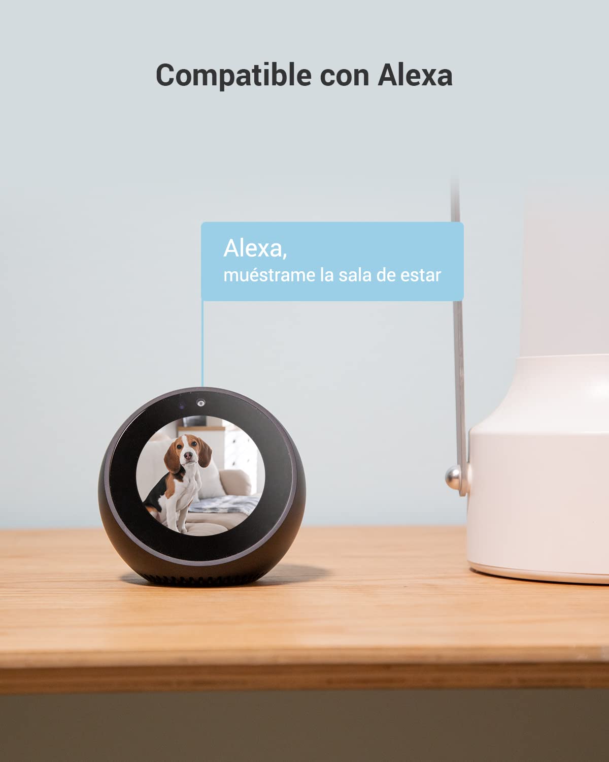 EZVIZ Cámara Vigilancia WiFi Interior 360º, 1080P Camara Vigilancia Bebe/Mascotas, Visión Nocturna, Audio Bidireccional, Detección de Movimiento, Control Remoto, Compatible con Alexa, C6N Negro