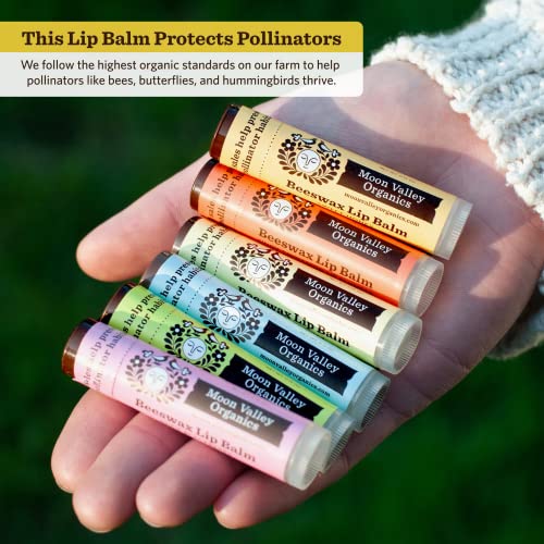 Moon Valley Organics Beeswax Lip Balm For Moisturizing Lips And Cuticles, 3 Pack (Sweet Honey) #TOP4