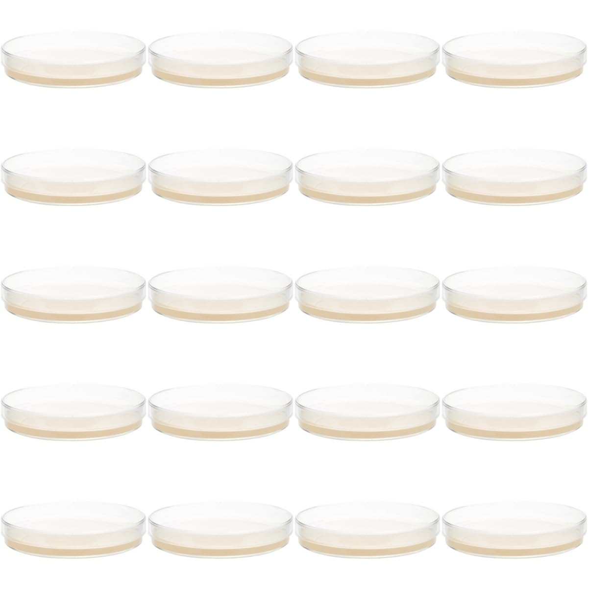 ULTECHNOVO 60piezas Placas De Petri Agar Nutritivo Prellenado Para Experimentos Científicos y De Microorganismos
