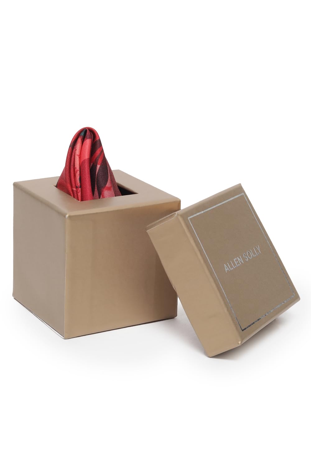 allen solly Men Red Party Pocket Square-picture-48