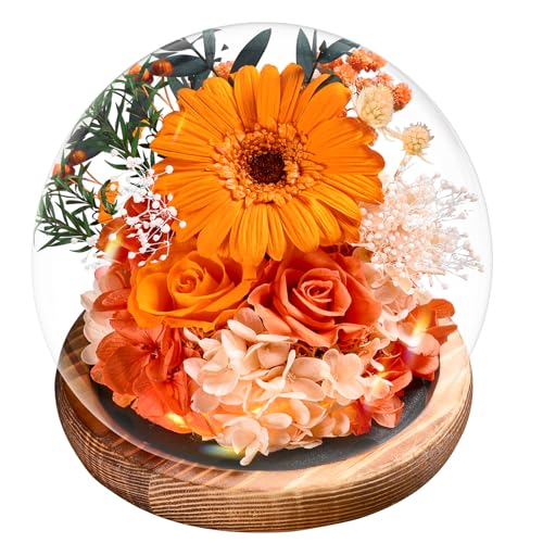 Touloube Regalo De Girasol del Día de la Madre, Regalos Mujer,Girasoles Infinitos Eternos De Cristal,Flores Regalo De Cumpleaños Inspirador del Sol para Mamá Esposa Abuela Maestra Novias