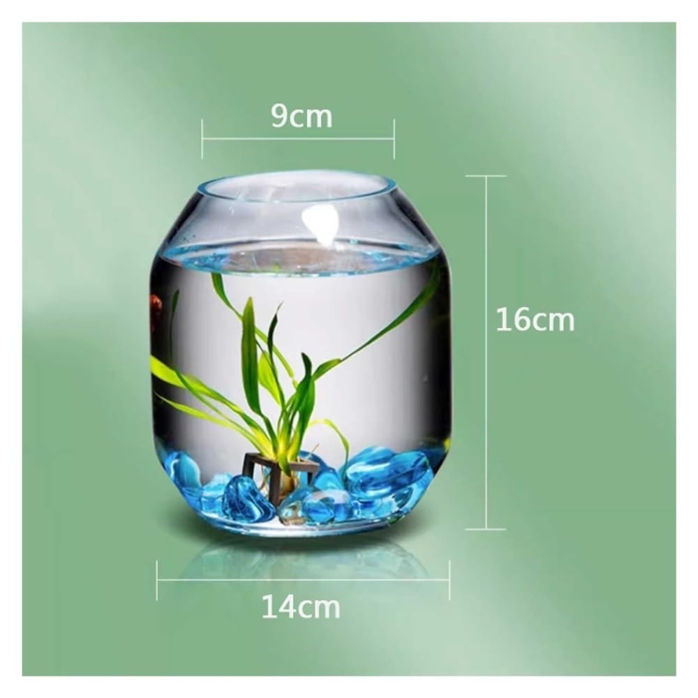 Aquarium Transparentes Glas-Aquarium, kleines Zuchtbecken, dekoratives Mini-Aquarium for Wohnzimmer, Schreibtisch oder Wohnzimmer
