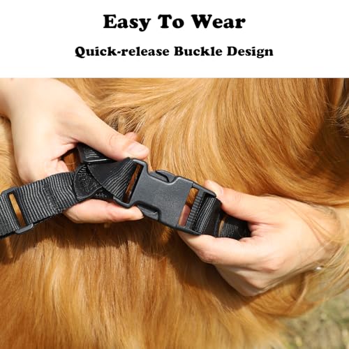Image of Ohcozzy Dog Tail Protector, Breathable Tail Guard to Prevent Licking Wounds, Adjustable Tail Cover Recovery Sleeve for Medium Large Dogs (M,Black)