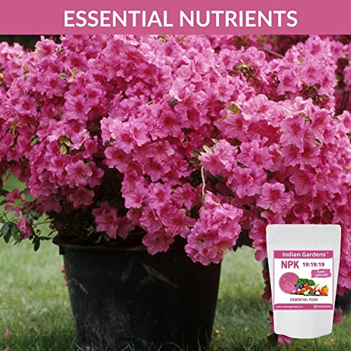 Image of Indian Gardens NPK 19:19:19 Fertilizer for Plants And Plant food | Flowering Booster and Growth - 1 Kg