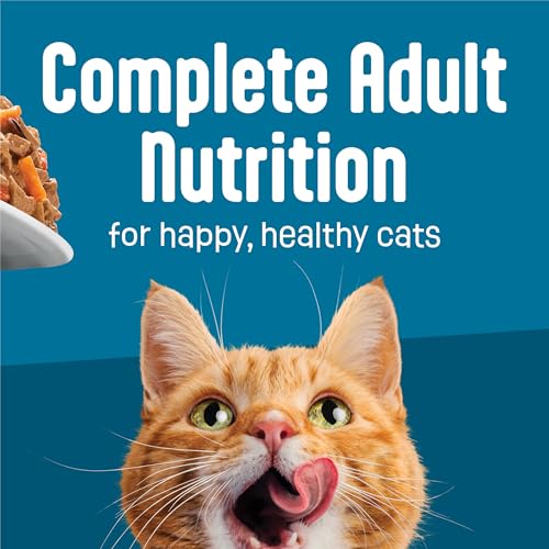 Friskies Purina Fully Load'd Wet Cat Food, Salmon, 24 Count, 5.5 oz - image 8