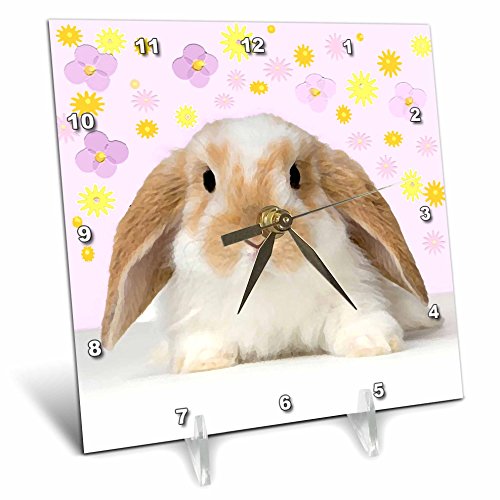 3dRose dc_4802_1 Rabbit-Desk Clock, 6 by 6-Inch