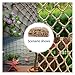 ZREVSB Hemp Rope Climbing Net Nature Jute Craft Child Safety Wall Decoration Garden Balcony Stair Protection Fence(Dia 4mm Mesh 10cm)