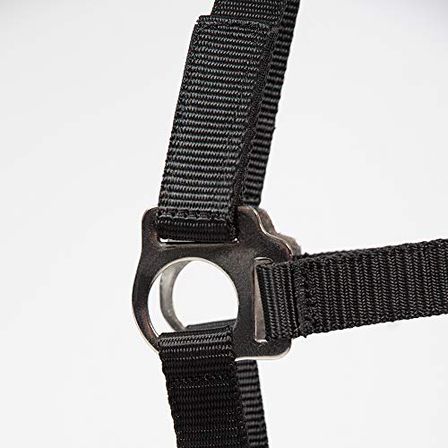 Foto von PFIFF 102921 Sicherheitshalfter Jocose, Weidehalfter Paddockhalfter, Schwarz, Shetty