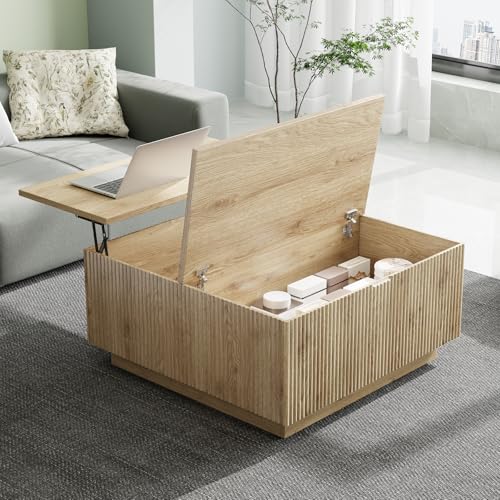 Epecoya 31" Lift Top Coffee Table with Hidden Storage, Farmhouse