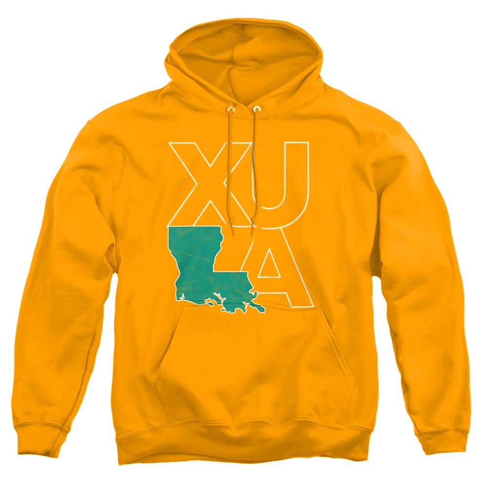 LOGOVISION Official Collegiate Distressed Primary Logo Adult Pullover Hoodie Collection — view 123