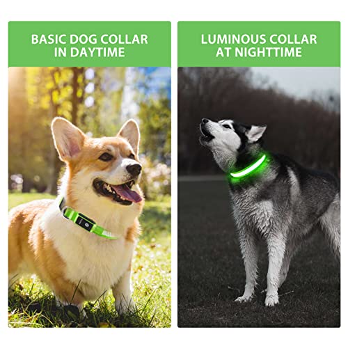 PcEoTllar Leuchthalsband Hund Aufladbar, Hundehalsband Leuchtend Wasserdicht, Blinkend LED Halsband für Hunde mit 7 Farben, Einstellbare LED Hundehalsband für Kleine Große Hunde, Grün-M