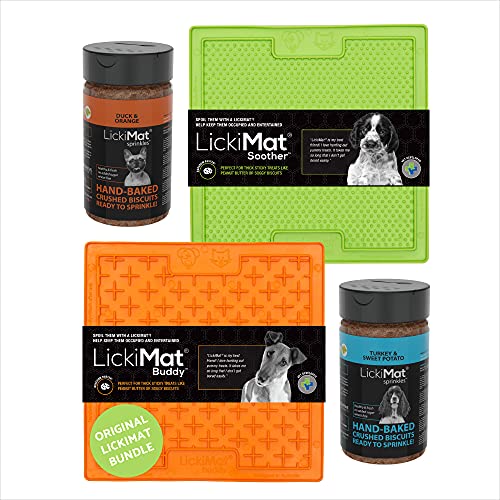 Playing With a Blind Dog: Toys, Games and Enrichment Ideas 51u lov7uvS. SL500