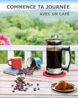 Pro@Home43 Cafetière et théière à Piston 0,35 l pour 2 Tasses (0,6 l également Disponible) Presse à café en Verre Borosilicate résistant à la Chaleur 350 ML avec cuillère doseuse en INOX, livrée en c
