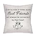 ZCHXD Regalo de la Amistad Funda de cojín 45x45 Funda de Almohada de Lino decoración cojín Colorida para Sala de Estar decoración Silla Coche para Mejor Amiga (Estilo 6)