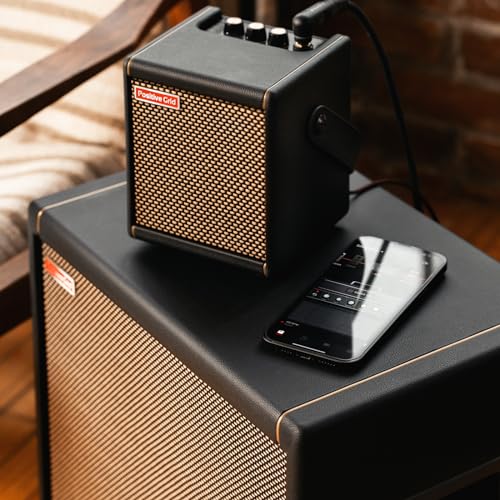 Positive Grid Spark CAB Powered Guitar Amp Speaker Cabinet for Spark Series Amps, Multiple Instruments, Modelers, and More