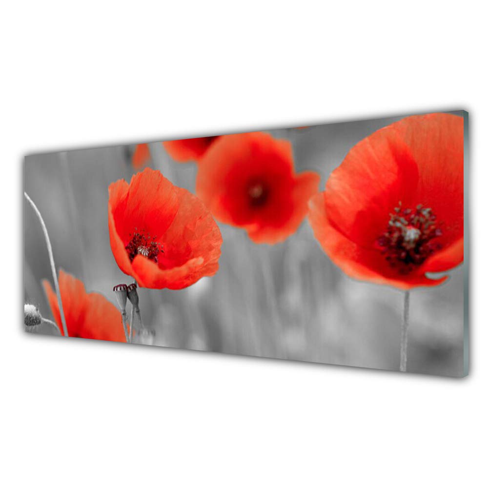 Impression sur verre acrylique 125x50cm Tulup coquelicots - Tableau mural plastique imprimé