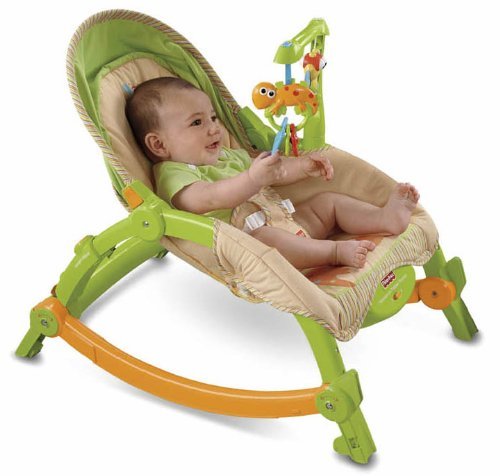 Newborn to Toddler Rocker