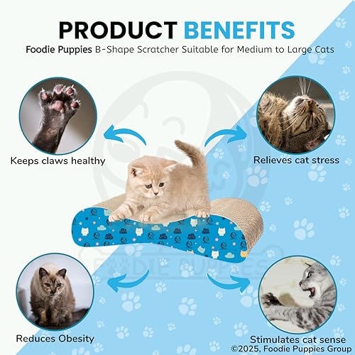 Image of Foodie Puppies 2 in 1 Cat Scratcher Pad with Catnip for Cats & Kittens - (B Shape Scratcher 55 x 23 x 14 cm) | Durable Corrugated Scratching House, Easy to Assemble | Furniture Protection.