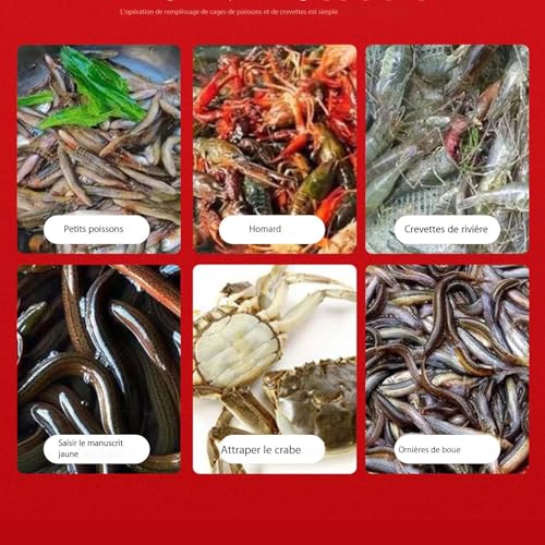 Cage à crabes et loches idéale pour éviter les fuites - 5
