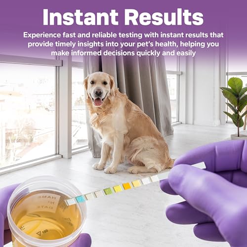 Image of One Step Pet Urine Testing Strips, 5 x 10 Parameter Urinalysis Test Strips, Urine pH Test Strips for Dogs, Cats, Accurate Testing for UTI, Bladder & More, Pet Glucose Monitoring Kit