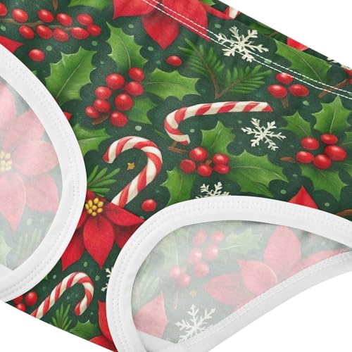 Joisal Red Poinsettia Flowers Christmas Girl Panties Cute Toddler Girls Underwear Cotton Aesthetic Briefs Girls Undies 2t4