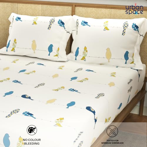Image of Urban Space Divine 144TC 100% Cotton Printed Bedsheet for Double Bed, Double Bed Sheet Cotton with 2 Pillow Covers and 3 Cushion CoversWith Giftbox (Humming Bird Blue, Size 88 X 100 Inches)