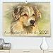 Produktbild Australian Shepherds 2021 (Premium, hochwertiger DIN A2 Wandkalender 2021, Kunstdruck in Hochglanz)