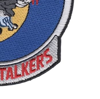 Amazon.com: 160th SOAR 101st Airborne Division Patch - Death