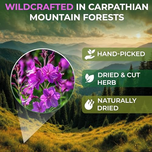 Image of 40 Bags Ivan Tea Siberian Fireweed Tea Herb Blooming Sally (Chamerion Angustifolium) - Ivan Chai 40 Count 1.5 g Bags Epilobium Angustifolium Иван Чай