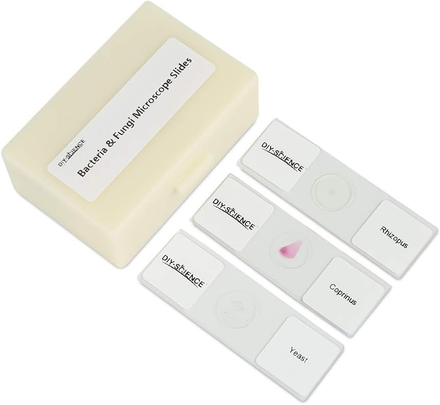 Prepared Bacteria and Fungi Microscope Slide Set, 9pcs Slides for Biology Teacher Students Micro Organisms Science Education