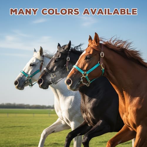 Image of Leather Halter for Horses, Equine Breakaway Nylon Rope Horse Halter with Snap & Adjustable Chin and Throat Snap Hook Halters for Training, Show and Daily Use, Average Size