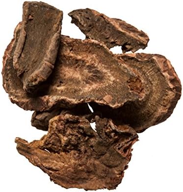 Plum Dragon Herbs Rhubarb Root | Da Huang Chinese Herb | Rheum Palmatum | Bulk Chinese Herb 1 Lb