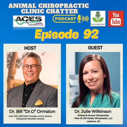 🎥🎙️ Animal Chiropractic Clinic Chatter | Interview with Dr. Julie Wilkinson - Episode 92