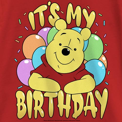 Fifth Sun Disney Pooh My Winnie Bday Girls Short Sleeve Tee Shirt2