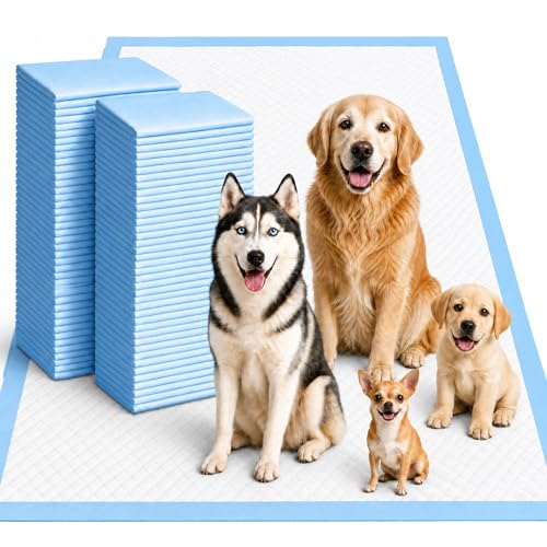 Gimars XXXL 31X47” 40 Count 1200ML Super Absorbent Thicken 6-Layer Ultra Large Dog Pee Pads — Leak-Proof Odor-Control Quick-Dry Training Pads for Large Senior Dogs, Puppies, Cats & Pets by Gimars - Used condition - US$37.23