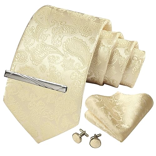Image of Paisley Floral Mens Tie Formal Necktie Pocket Squares Ties Clips Cufflinks Classic for Men Set