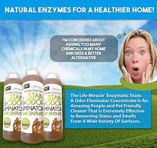 Life Miracle Enzyme Cleaner & Pet Odor Eliminator Concentrate | Deep Cleaning Enzymatic Spot Remover for Dog Cat Urine, Rug, Carpet, Upholstery, Couch & Car Stains & Smells | Makes 2 GALLONS