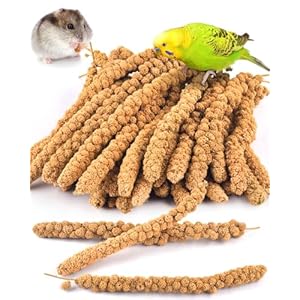 KATUMO 2LB/910g Spray Millet Treats, Natural Sun-Dried Bird Treats for Parakeet Conure Cockatiel Finch Pigeon Hamster Canary (910g)