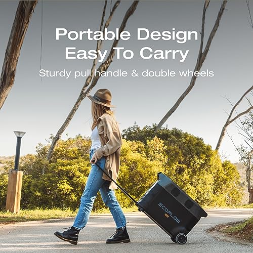 EF ECOFLOW Delta Pro Extra Battery 3600Wh, 2.7H to Full Charge, Battery Backup for Home Use, Blackout, Camping, RV - Image 5