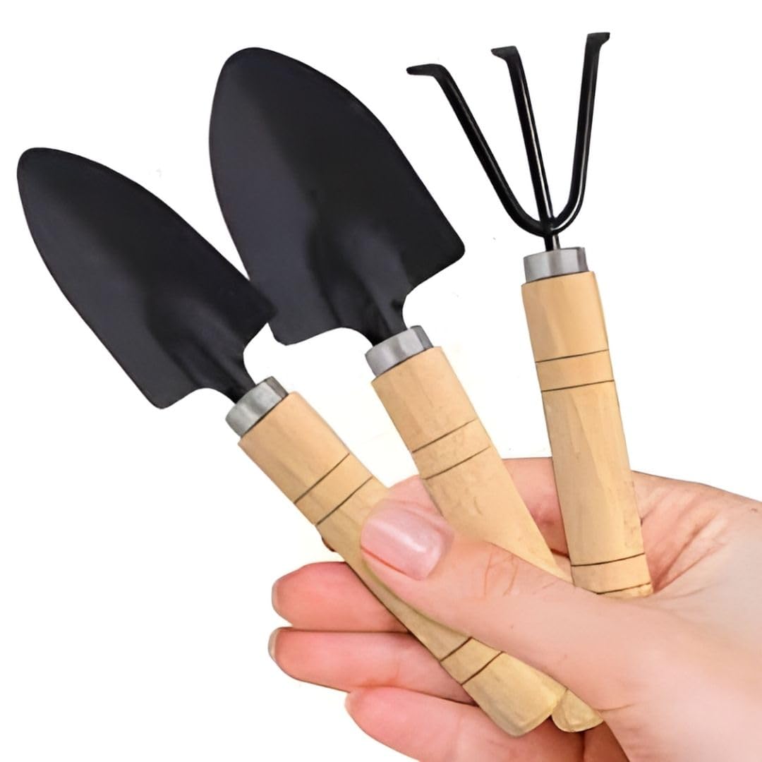3 Pc Kids Gardening Tool Kit Equipment (Trowel, Shovel, Rake) - Mini Gardening Manual Digging Tools for Boys Girls - No Sharp Edges - Light Weight (B0CPT5HSDN) Amazon Price History, Amazon Price Tracker