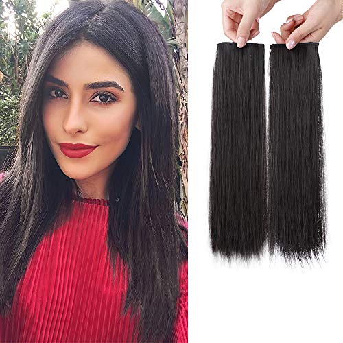 Isaic 2 PCS Straight Clip in Hair Extensions Invisible Hairpin Clips in Hair Short Straight Hair Piece (14 Inch, 2#)