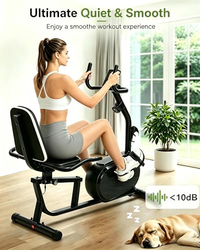 Recumbent Exercise Bike for Home Use | Comfortable Seat, 380LBS Weight Capacity, Smart App Integration, LCD Display, 16-Level Magnetic Resistance - Image 3