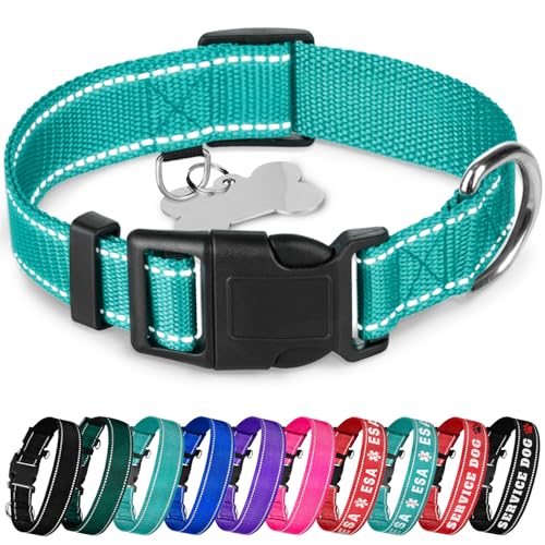 Collar Reflectante para Perro TECEUM, Nylon, Color Teal, Talla L