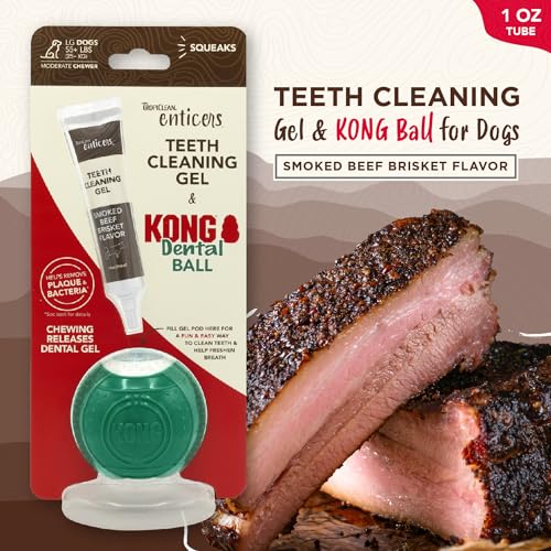Image of TropiClean Enticers Kong Dental Ball Kit for Large Dogs | Teeth Cleaning Gel | Smoked Beef Brisket Flavor | 1 oz.